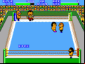 Pro Wrestling (Body Slam)